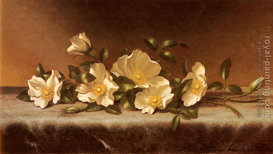 Martin Johnson Heade : Cherokee Roses On A Light Gray Cloth